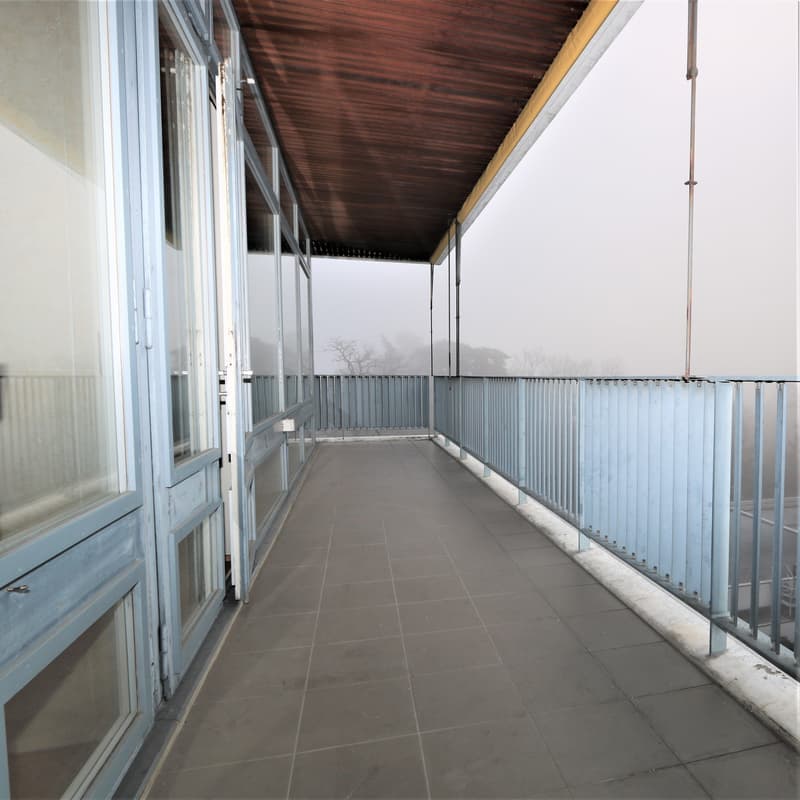 Spacieux appartement de 5 pièces à louer – Avenue De-Budé, Genève (8)