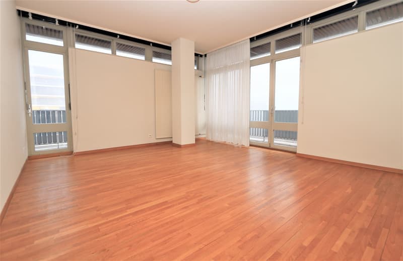 Spacieux appartement de 5 pièces à louer – Avenue De-Budé, Genève (5)