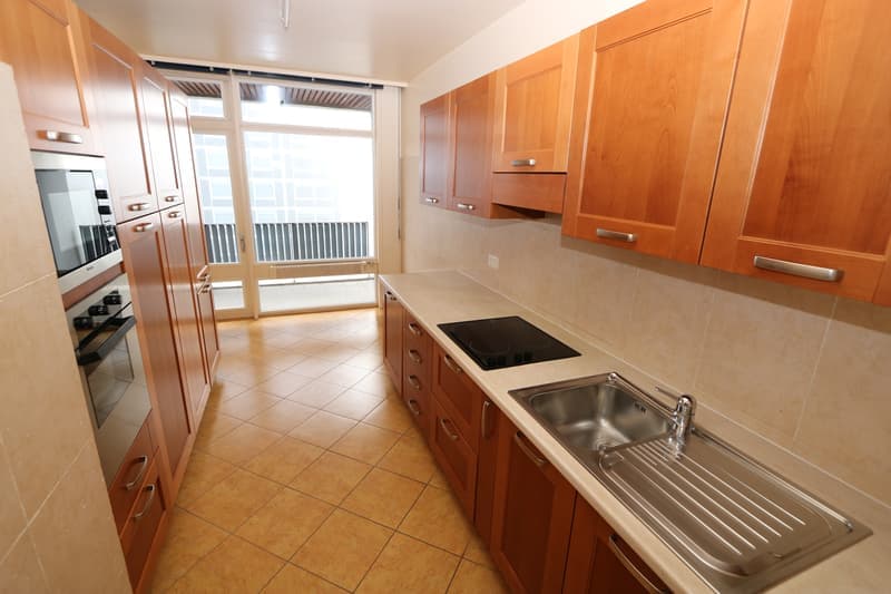 Spacieux appartement de 5 pièces à louer – Avenue De-Budé, Genève (3)