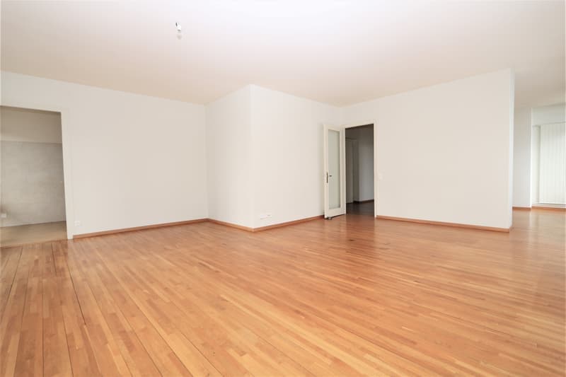 Spacieux appartement de 5 pièces à louer – Avenue De-Budé, Genève (6)