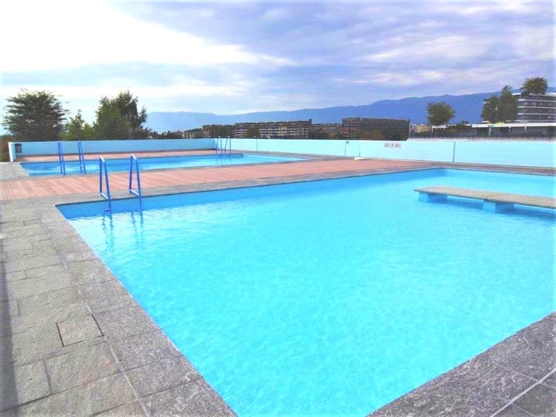 Spacieux appartement de 5 pièces à louer – Avenue De-Budé, Genève (1)