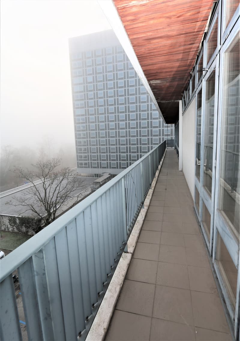 Spacieux appartement de 5 pièces à louer – Avenue De-Budé, Genève (7)