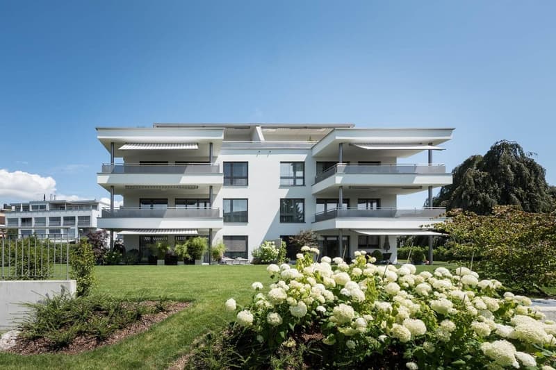 Helle 4.5-Zimmer-Wohnung mit Balkon in Rapperswil-Jona (1)