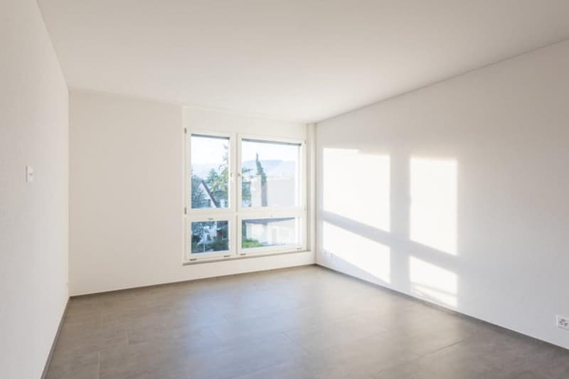 Helle 4.5-Zimmer-Wohnung mit Balkon in Rapperswil-Jona (8)
