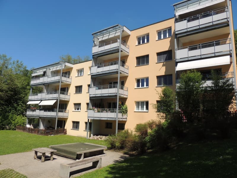 Helle 2.5-Zimmer-Wohnung mit Balkon in Uster – sofort verfügbar! (8)
