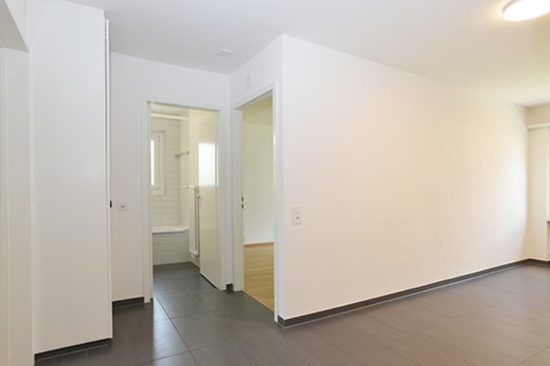 Helle 2.5-Zimmer-Wohnung mit Balkon in Uster – sofort verfügbar! (2)