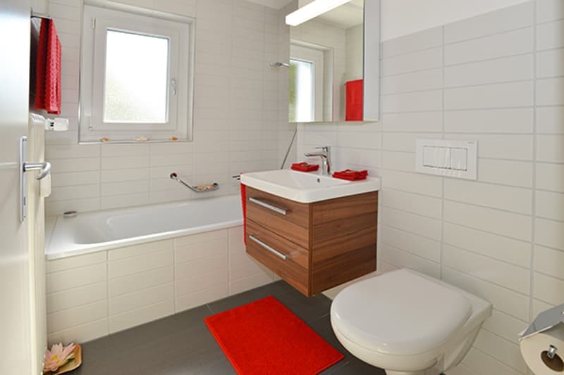 Helle 2.5-Zimmer-Wohnung mit Balkon in Uster – sofort verfügbar! (7)