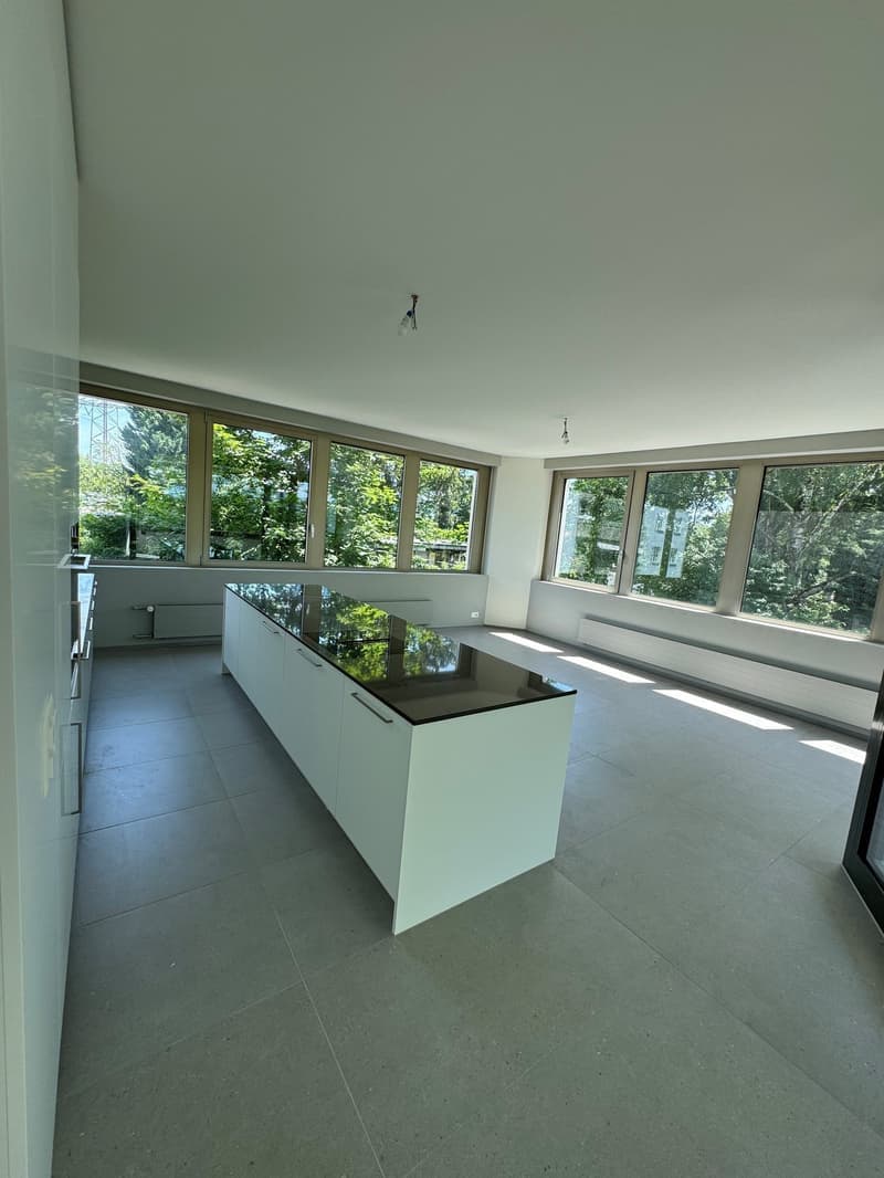 4.5 Zimmer-Attika-Wohnung in Steinhausen (8)