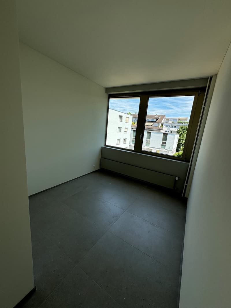 4.5 Zimmer-Attika-Wohnung in Steinhausen (13)