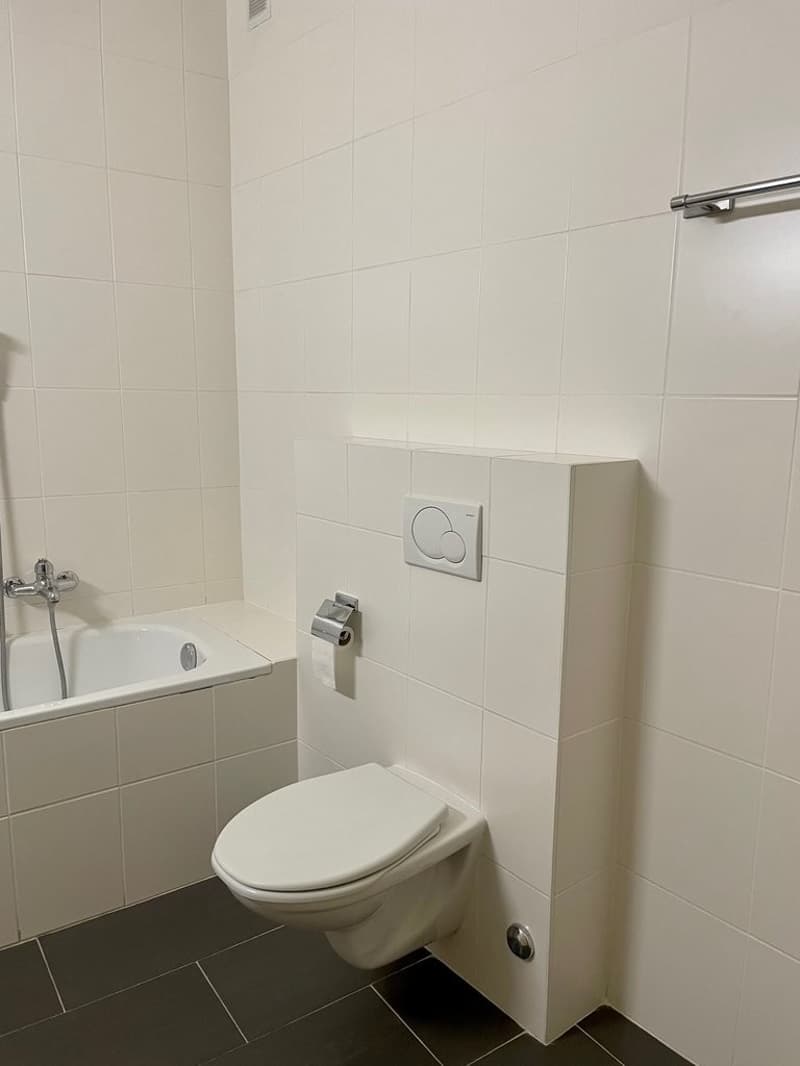 Charmant appartement de 2 pièces avec balcon au cœur de Genève (2)