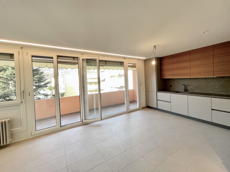 Lugano, Pregassona: Appartamento ristrutturato a nuovo, 2.5 locali (1)