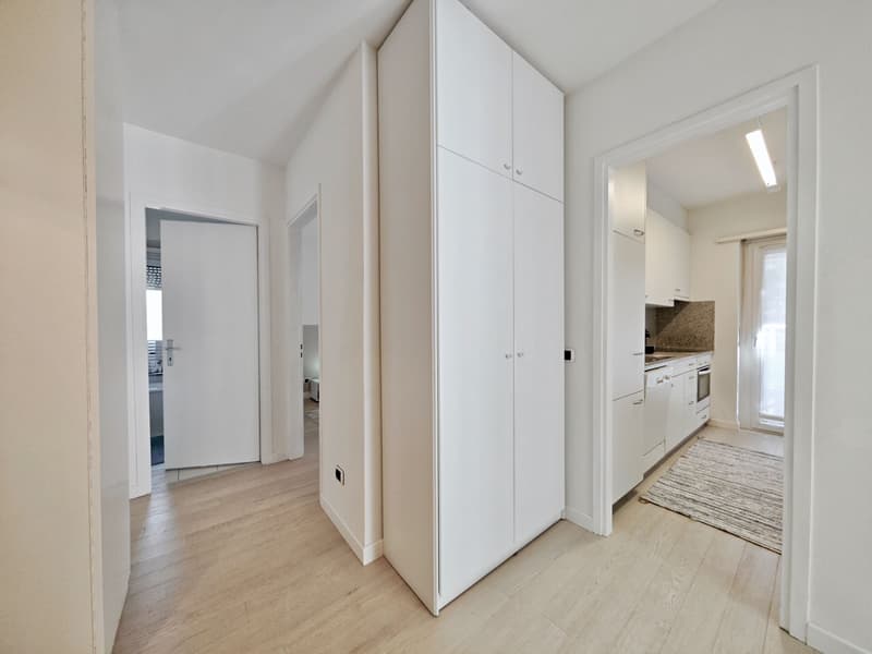 Lugano, Viganello: Comodo appartamento ristrutturato con balconi, 4.5 locali (2)