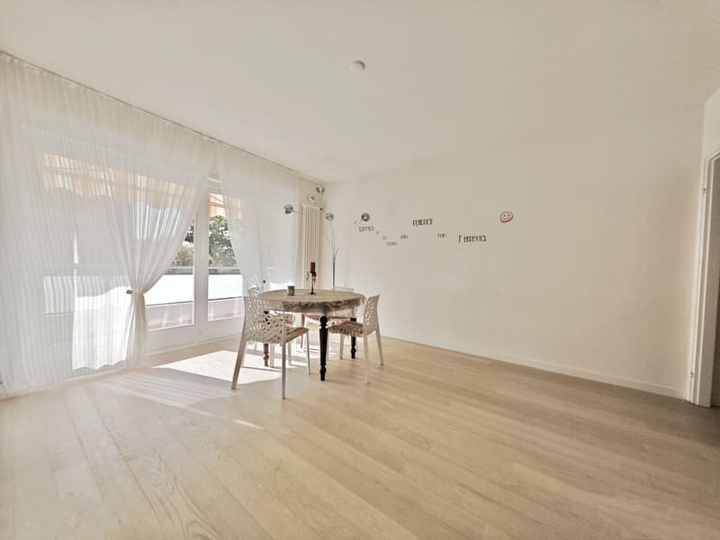 Lugano, Viganello: Comodo appartamento ristrutturato con balconi, 4.5 locali (1)
