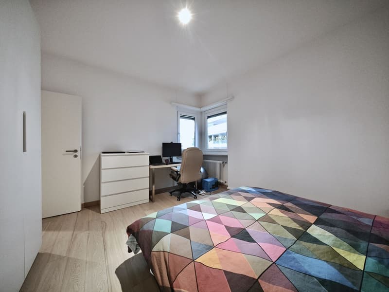 Lugano, Cassarate: Appartamento ristrutturato con terrazzo, 3.5 locali (12)