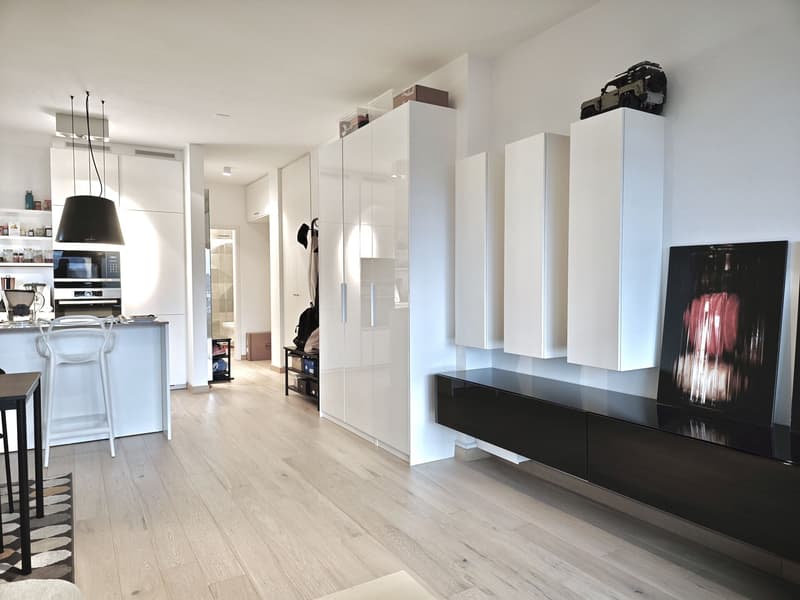 Lugano, Cassarate: Appartamento ristrutturato con terrazzo, 3.5 locali (1)