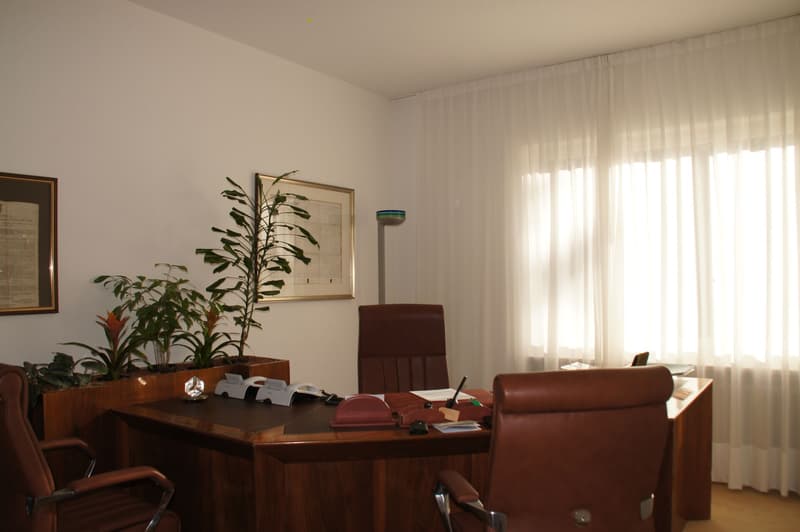 Massagno, ufficio in affitto frazionabile (1)