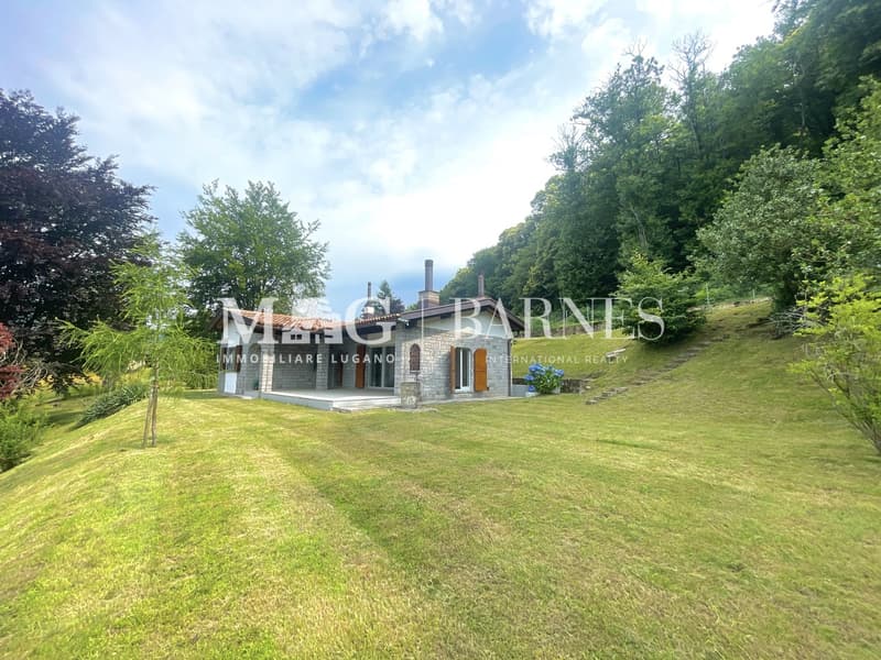 Lugano: Casa immersa nel verde con grande giardino (2)