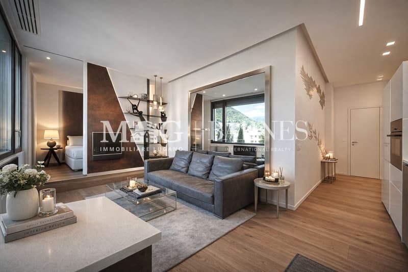 Lugano Centro vicino LAC: Appartamento 2.5 locali vista lago (2)