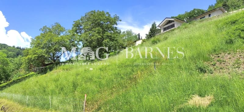 Aranno, Malcantone: Terreno Edificabile 1.230 mq (5)