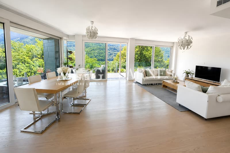 Montagnola, Collina d'Oro - Lussuoso 5.5 locali con zona wellness (3)