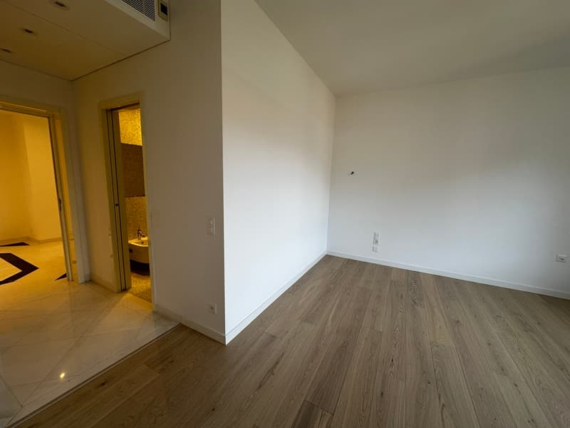 Luxurious new apartment for rent in Lugano. 3.5 rooms 170 sqm. (5)