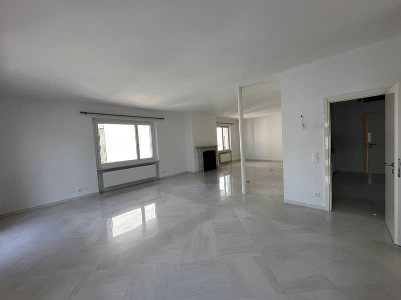 Luxurious new apartment for rent in Lugano. 3.5 rooms 170 sqm. (1)