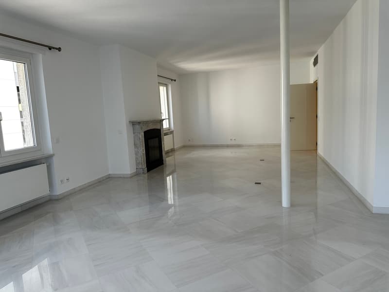 Lussuoso nuovo appartamento in affitto a Lugano. 3.5 loc 170 mq. (2)