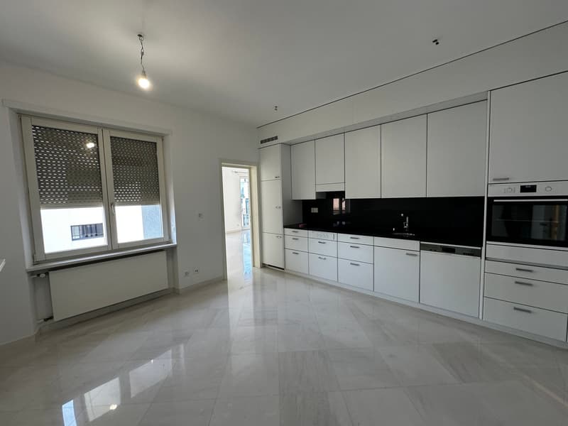 Lussuoso nuovo appartamento in affitto a Lugano. 3.5 loc 170 mq. (4)