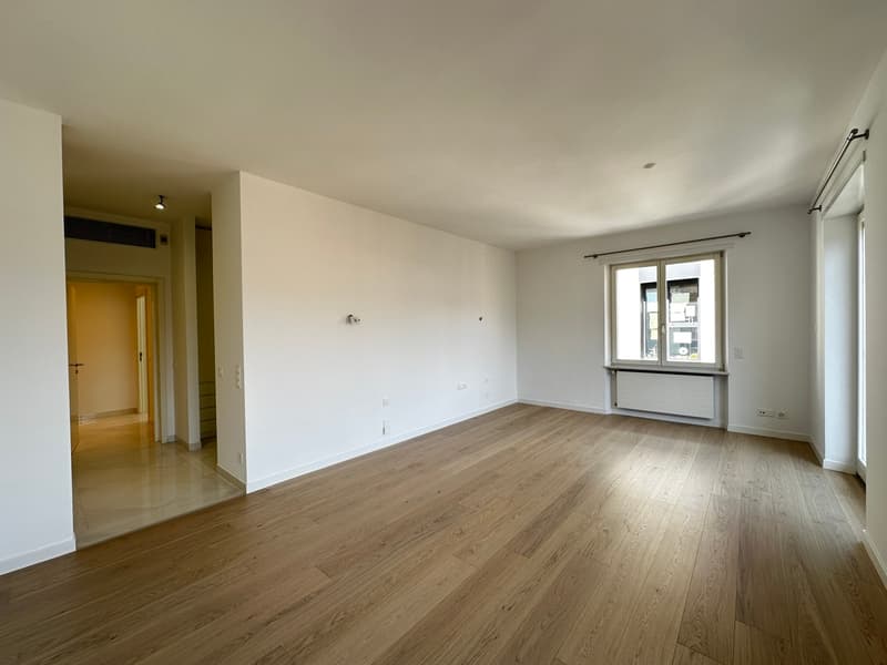 Lussuoso nuovo appartamento in affitto a Lugano. 3.5 loc 170 mq. (6)