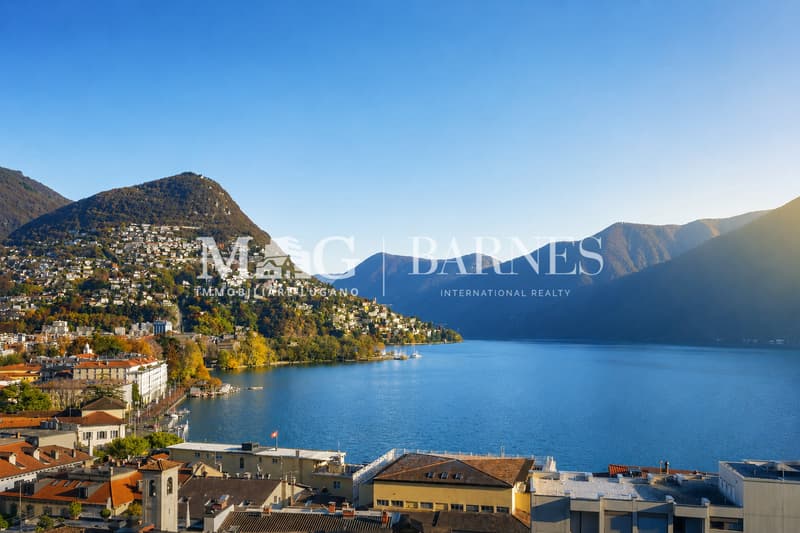 Lugano Centro: Centralissimo appartamento con vista lago splendida, 4.5 locali (6)