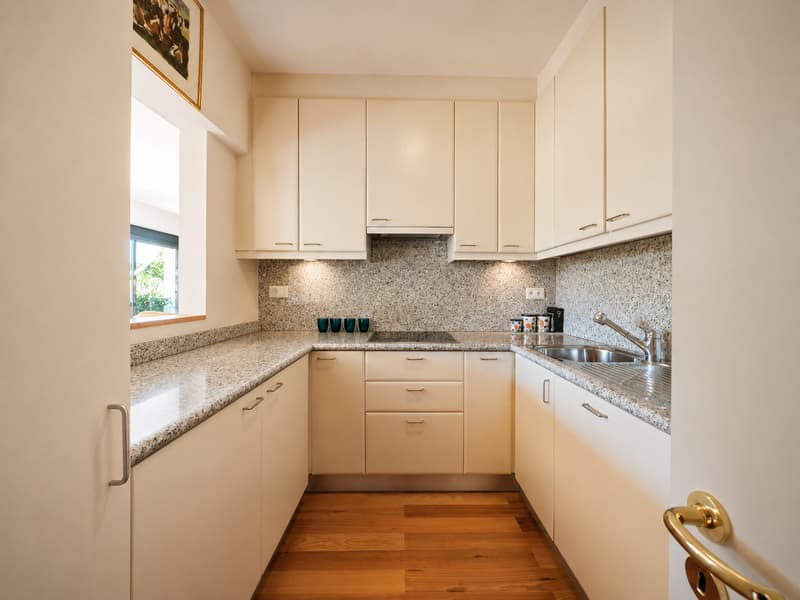 Collina d'Oro, Lugano: Appartamento 3.5 locali con terrazzi e giardino (4)