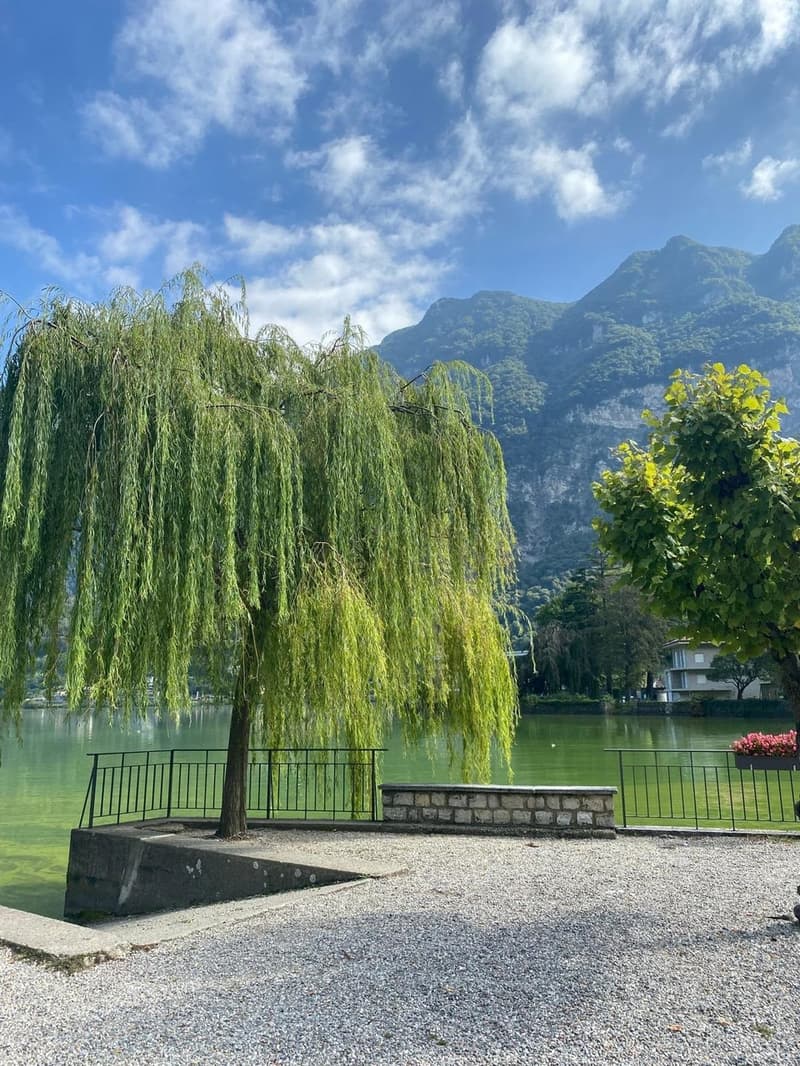 Riva San Vitale: Casa indipendente fronte lago (11)
