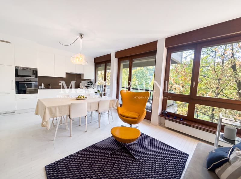 Lugano Loreto: Grazioso 2.5 in contesto residenziale (11)