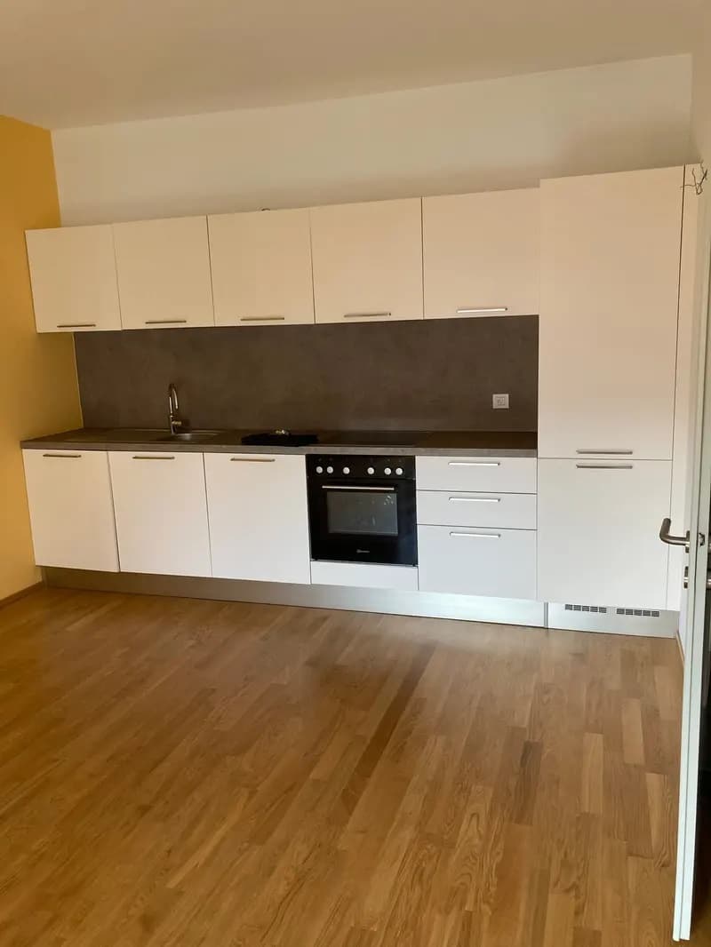 Apartment for rent in Chiasso (2)