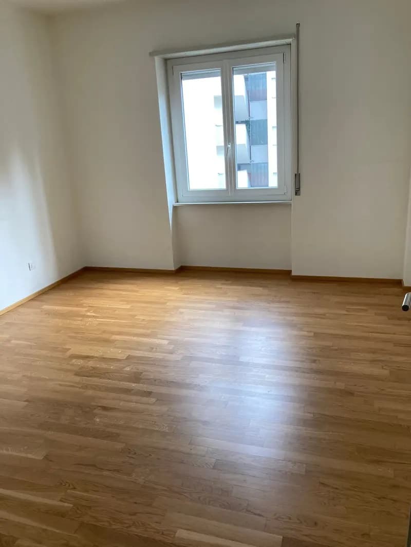 Apartment for rent in Chiasso (3)
