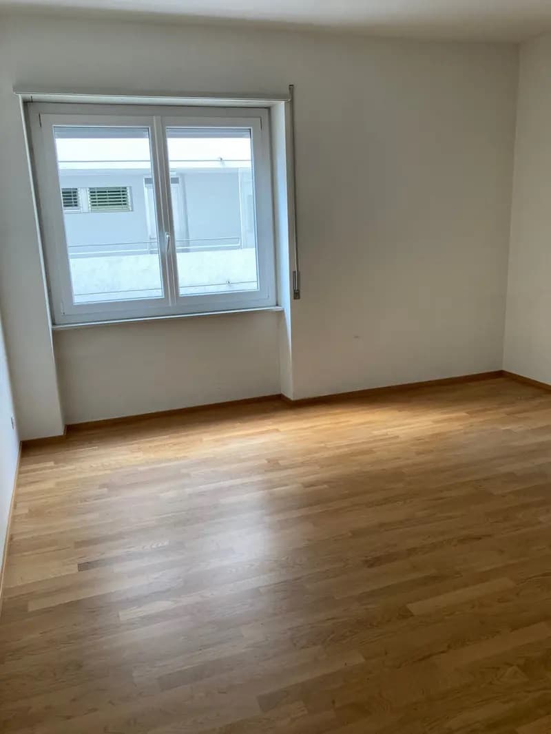 Apartment for rent in Chiasso (7)