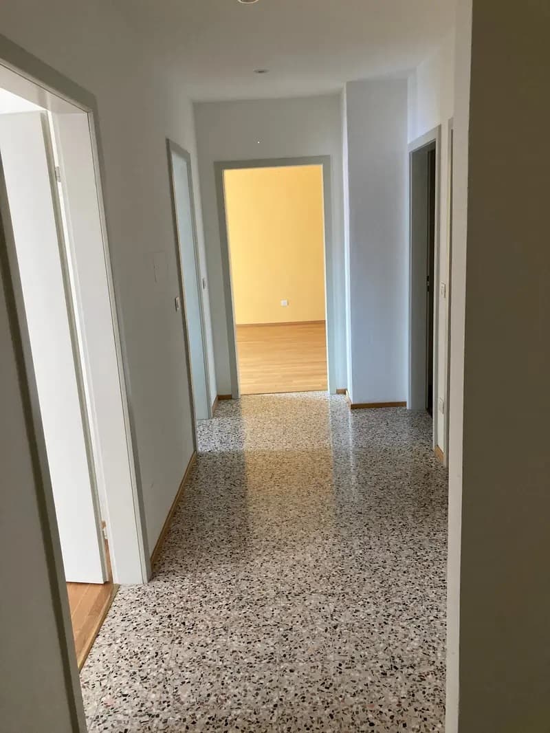 Apartment for rent in Chiasso (4)