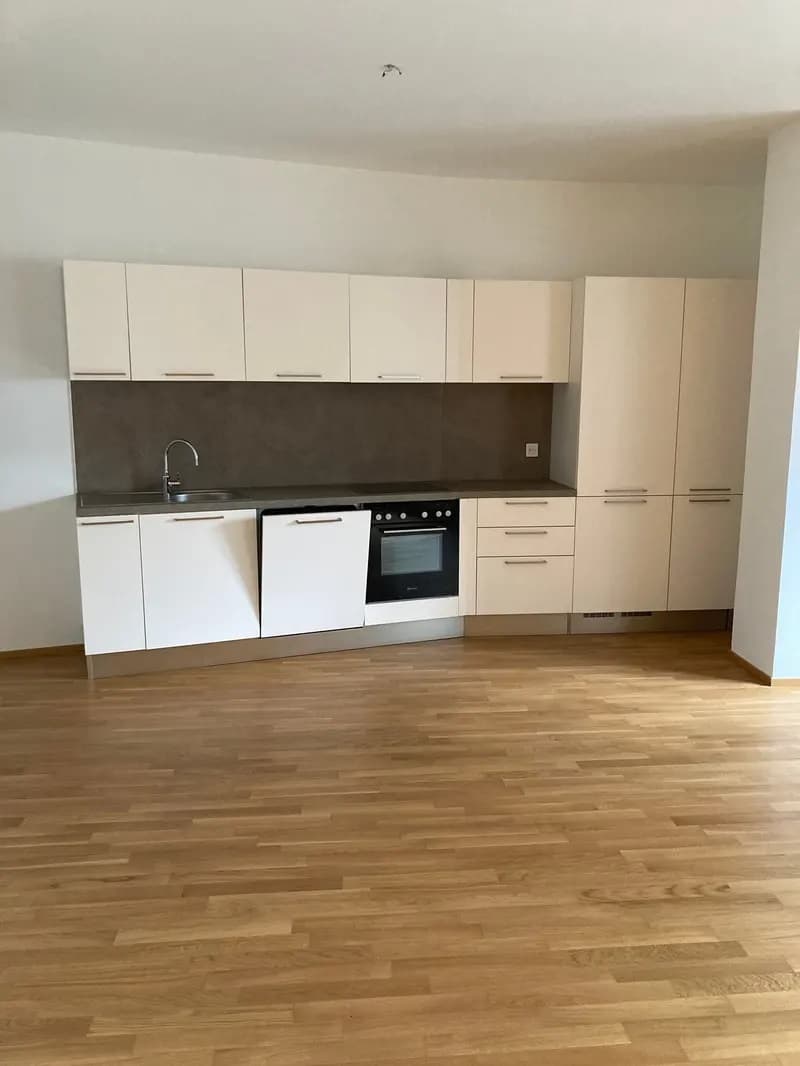 Charming 2.5-room apartment (2)