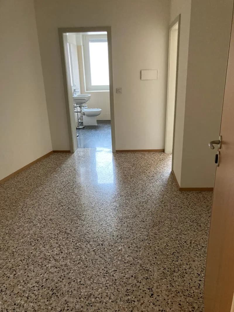 Charming 2.5-room apartment (4)