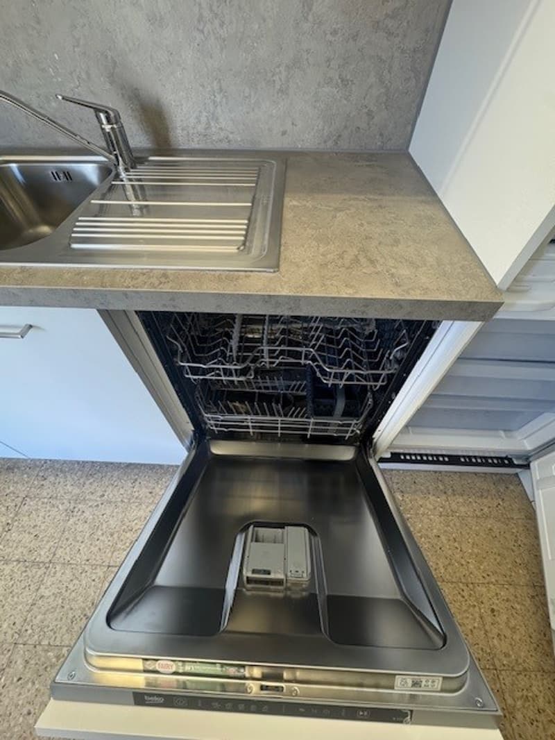 Appartamento di 3 locali RINNOVATO in via delle Aie 6, Lugano (5)
