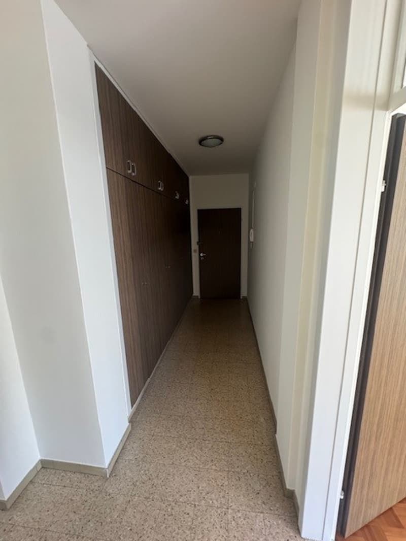 Appartamento di 3 locali RINNOVATO in via delle Aie 6, Lugano (11)