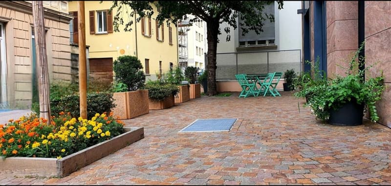 cobblestone garden patio with various plants, trees, and a green table and chairs