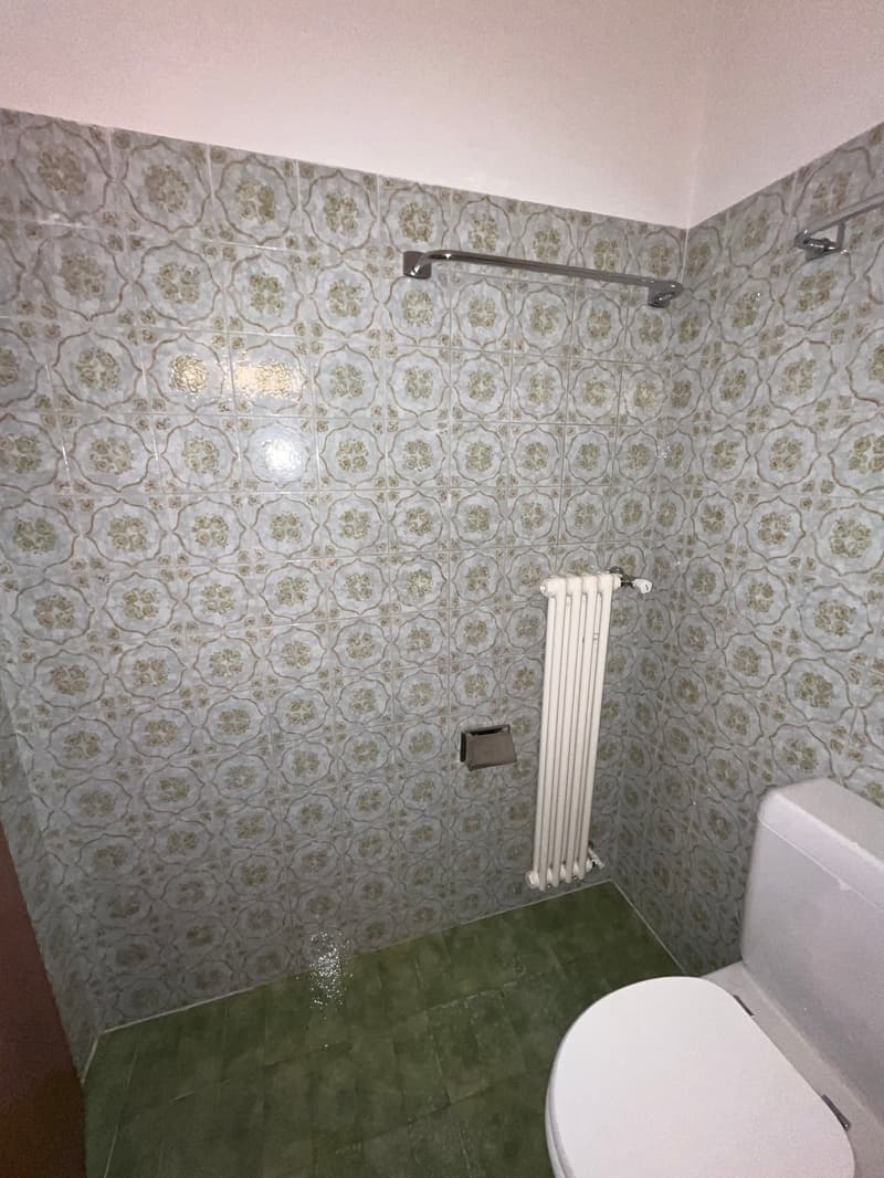 white toilet, white radiator, green tiles, floral wall tiles