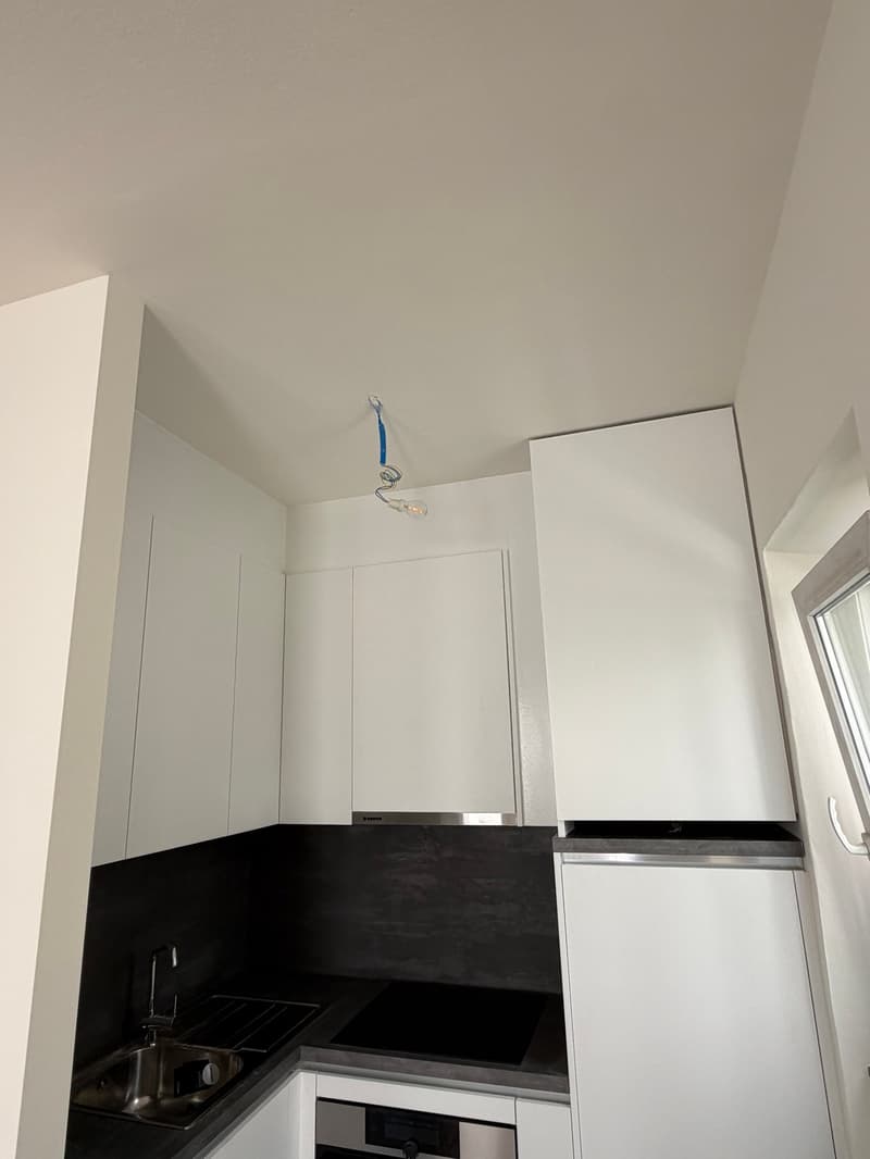 Helles 3-Zimmer-Apartment im Herzen von Lugano (5)