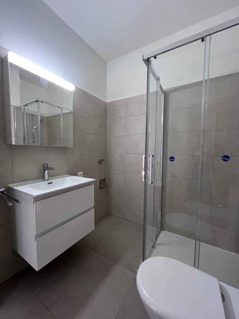 Helles 3-Zimmer-Apartment in Lugano – Via Zurigo 18 (7)