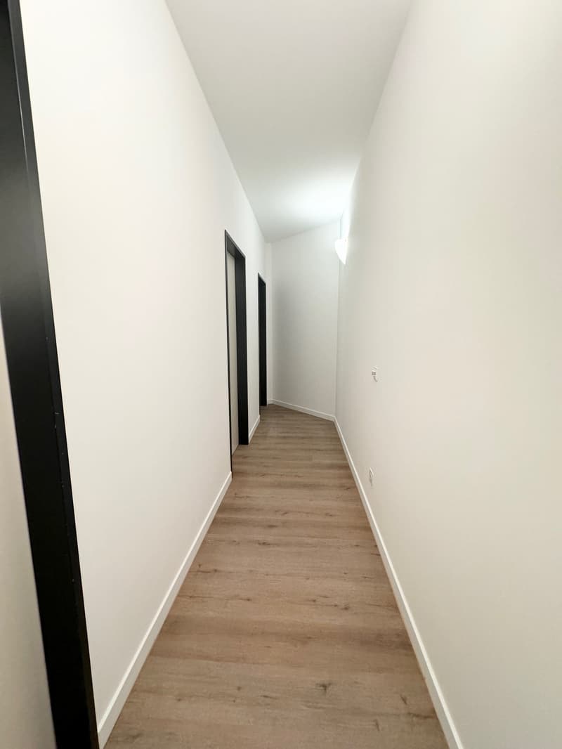 Affittasi luminoso e ampio appartamento di 3.5 locali (8)