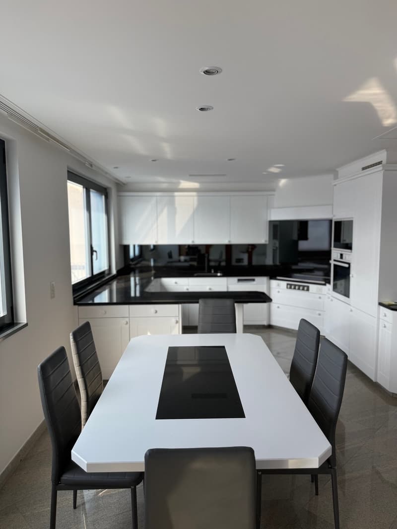 Elegante attico (7)