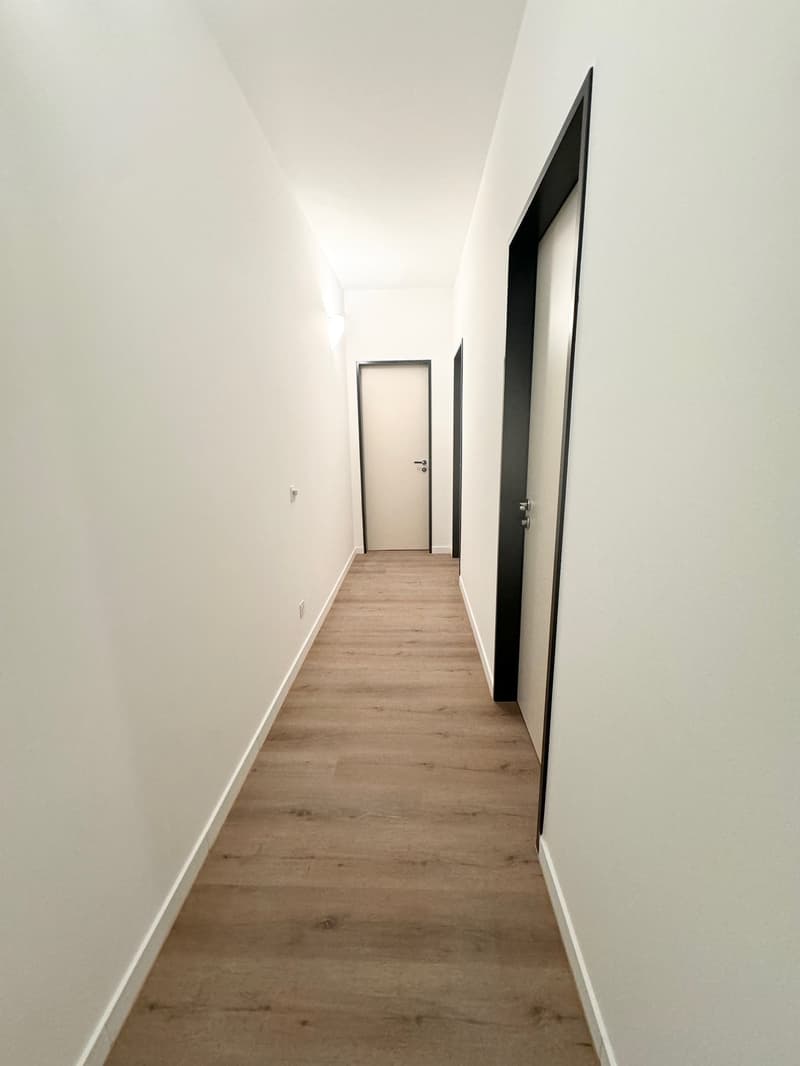 Vendesi luminoso e ampio appartamento di 3.5 locali (7)