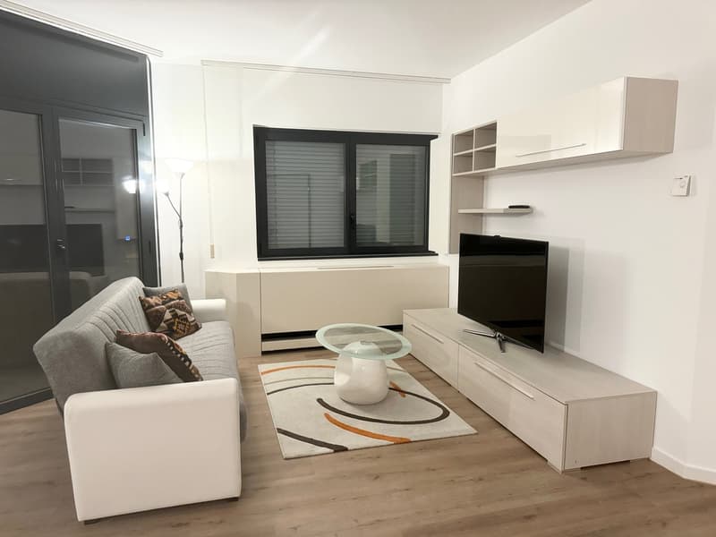 Vendesi luminoso e ampio appartamento di 3.5 locali (3)