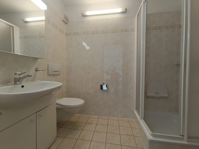 Appartement à louer avec 2 pièces et balcon à Caslano (8)